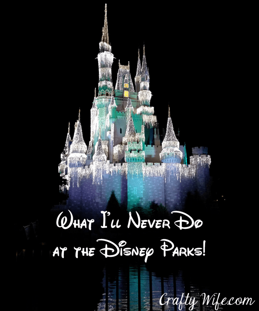What I'll Never Do at the Disney Parks