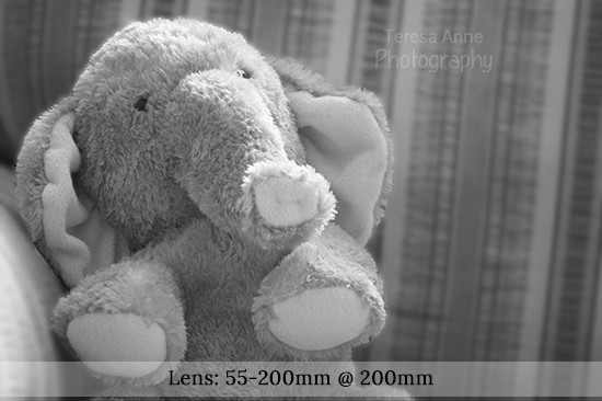 Baby Elephant f/stop: 5.6 shutter speed: 1/10 ISO: 800 Mode: Manual