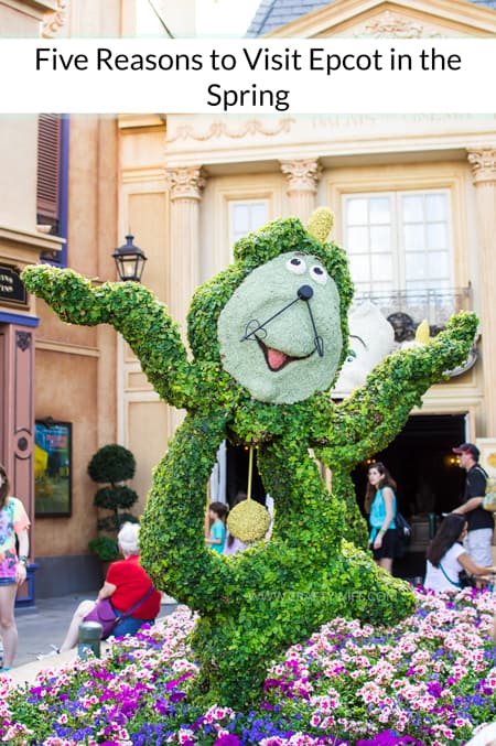 Epcot in the Spring | Disney Travel | Disney World | Disney on a Budget | Epcot's Flower and Garden Festival | Disney Vacation Tips 
