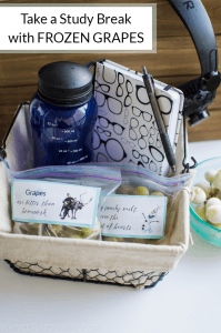Make a study break care package for your school goers to get them motivated to do their homework featuring FROZEN grapes as a fun and healthy snack! #ad